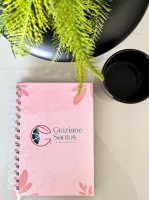 Captura de tela 2025-06-28 171545